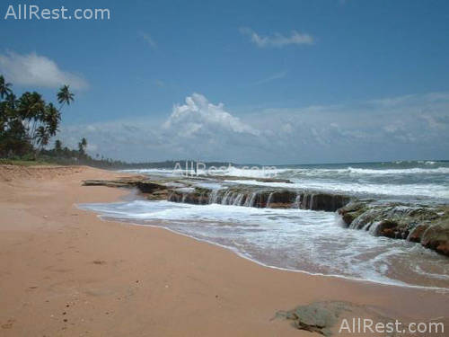 Kosgoda Beach Resort 8